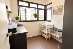 Blk 51 EAST PAYOH PALM (Toa Payoh), HDB 3 Rooms #599119441